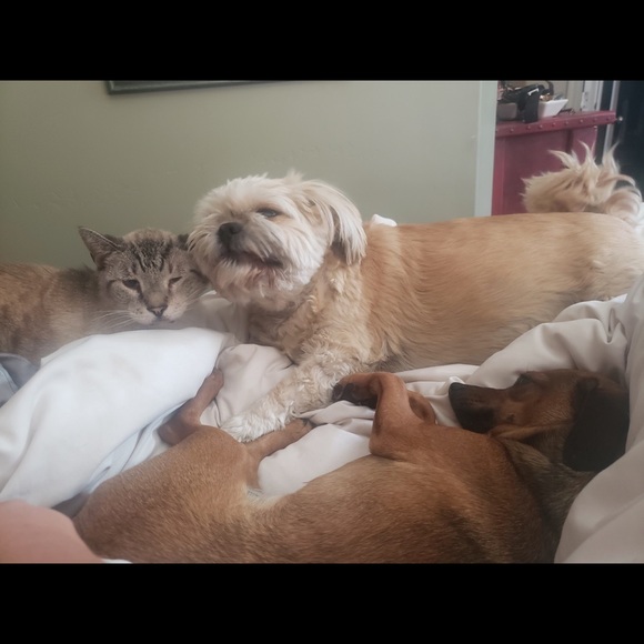 Meet your Posher, Cena - Picture 4 of 6